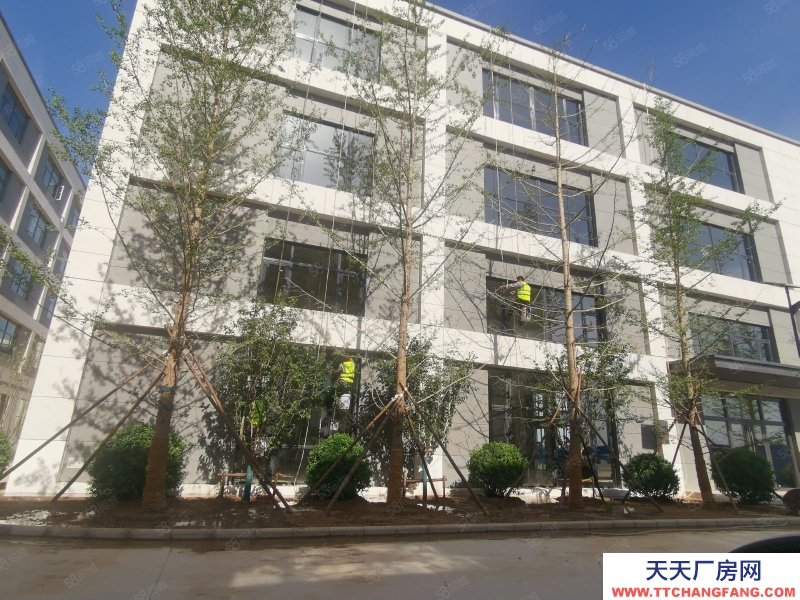 石家莊 藁城 東三環獨棟3層廠房出售 研發生產辦公 2500平可貸款大跳高