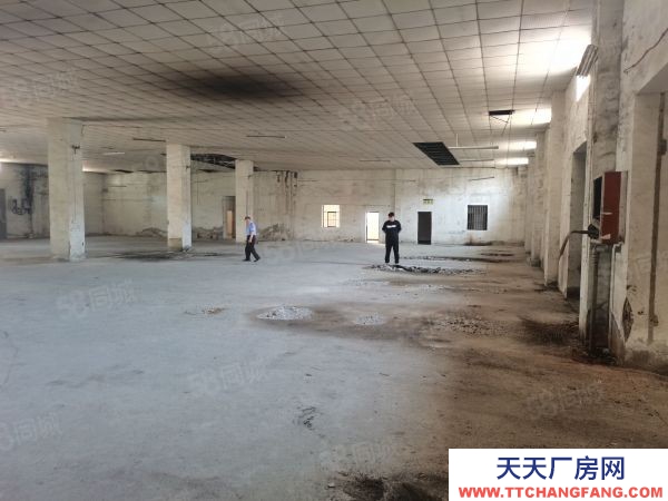 南京市潥水縣柘塘附近靠近祿口單門獨院廠房1000平另有辦公