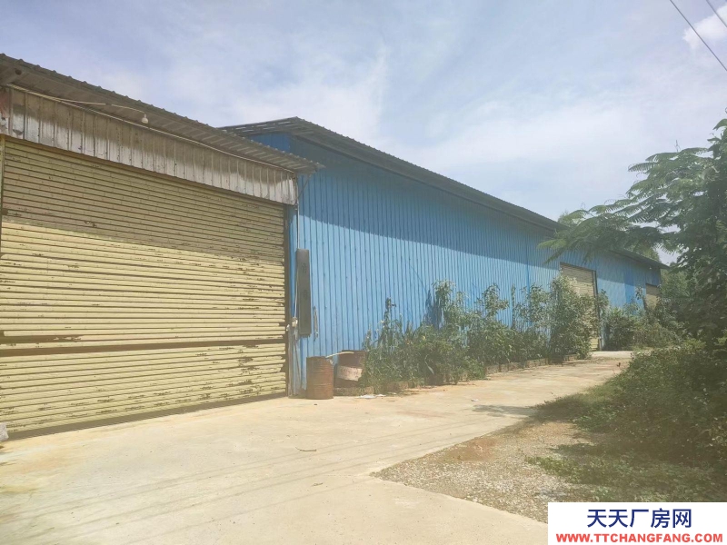 南寧市西鄉塘區(出租) 出租南寧市2萬平花園式廠房/倉庫/可分租/可隔大小