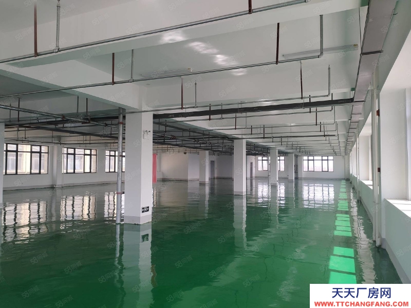 (出租) 合肥瑤海新站區全新廠房環氧地面2500平400平起租