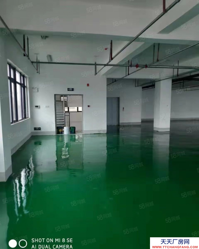 (出租) 合肥瑤海新站區全新廠房環氧地面2500平400平起租