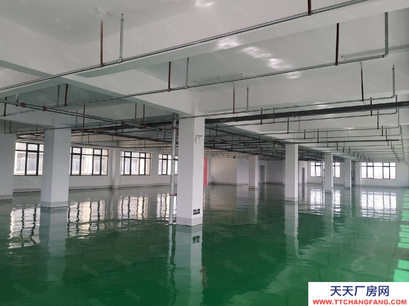 (出租) 合肥瑤海新站區全新廠房環氧地面2500平400平起租