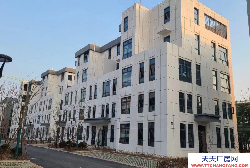 石家莊  藁城 直播帶貨，科技研發，總部辦公，招待展廳