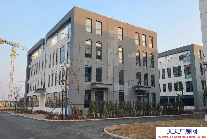 石家莊  藁城 直播帶貨，科技研發，總部辦公，招待展廳