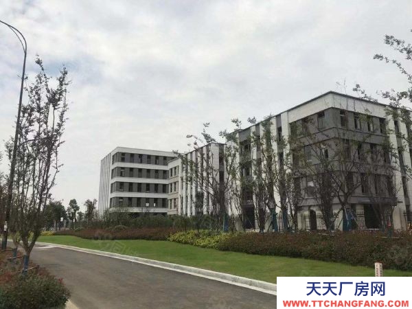 南京市溧水永陽核心區 50年產權廠房 600平起