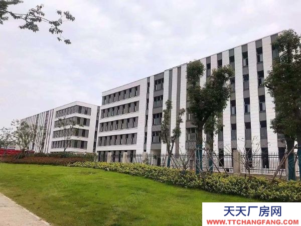 南京市溧水永陽核心區 50年產權廠房 600平起