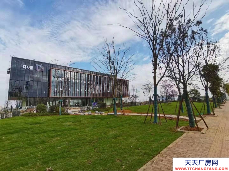長(zhǎng)沙市芙蓉區(qū)隆平企業(yè)園區(qū)1000至3000平獨(dú)棟出售