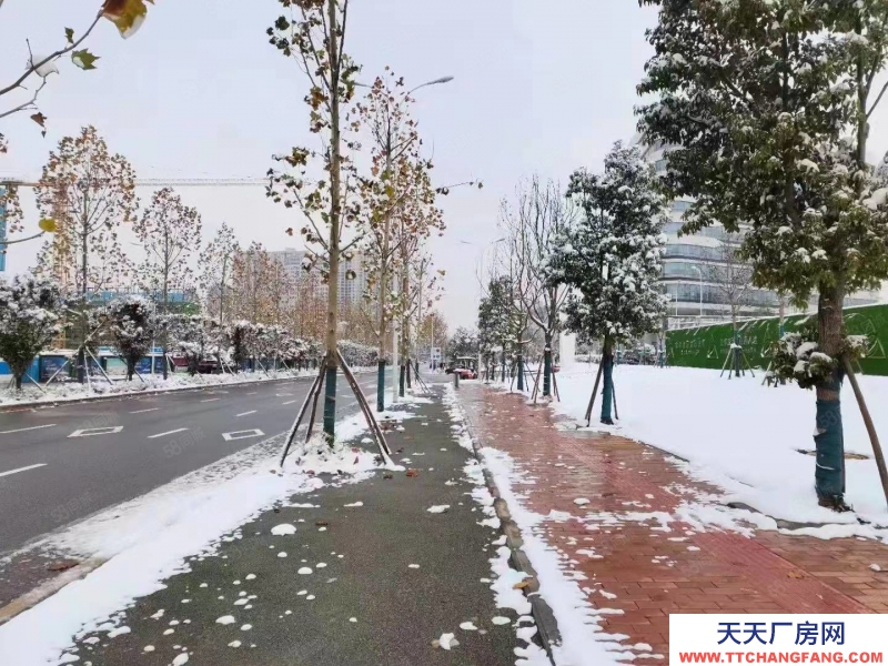 長(zhǎng)沙市芙蓉區(qū)隆平企業(yè)園區(qū)1000至3000平獨(dú)棟出售