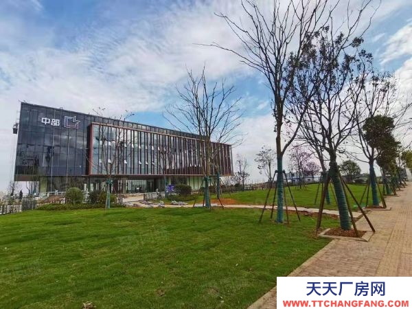 長沙市芙蓉區 長沙隆平自貿區內多層廠房出售