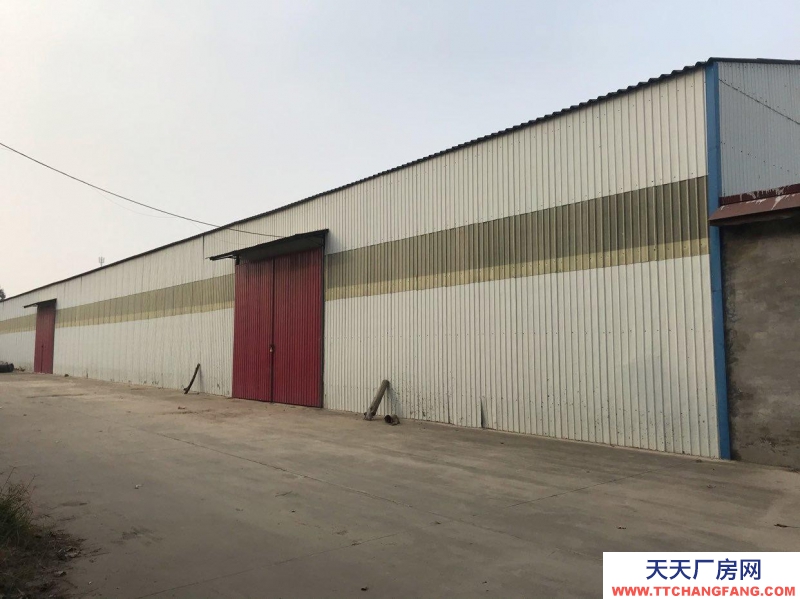 石家莊 晉州 緊臨晉總公路鋼結構廠房