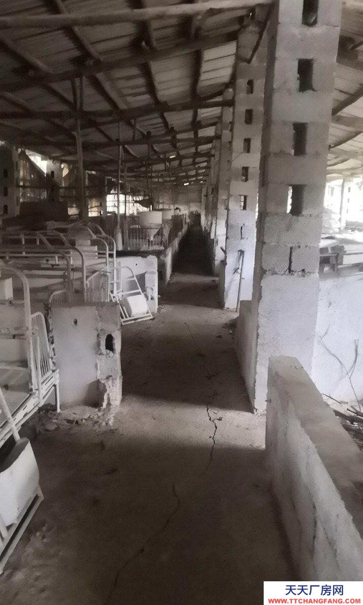 南寧市西鄉塘區(出租) 養殖場可養狗牛豬雞羊