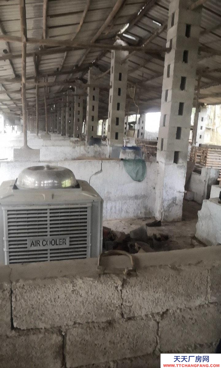 南寧市西鄉塘區(出租) 養殖場可養狗牛豬雞羊