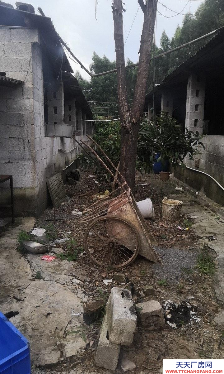 南寧市西鄉塘區(出租) 養殖場可養狗牛豬雞羊