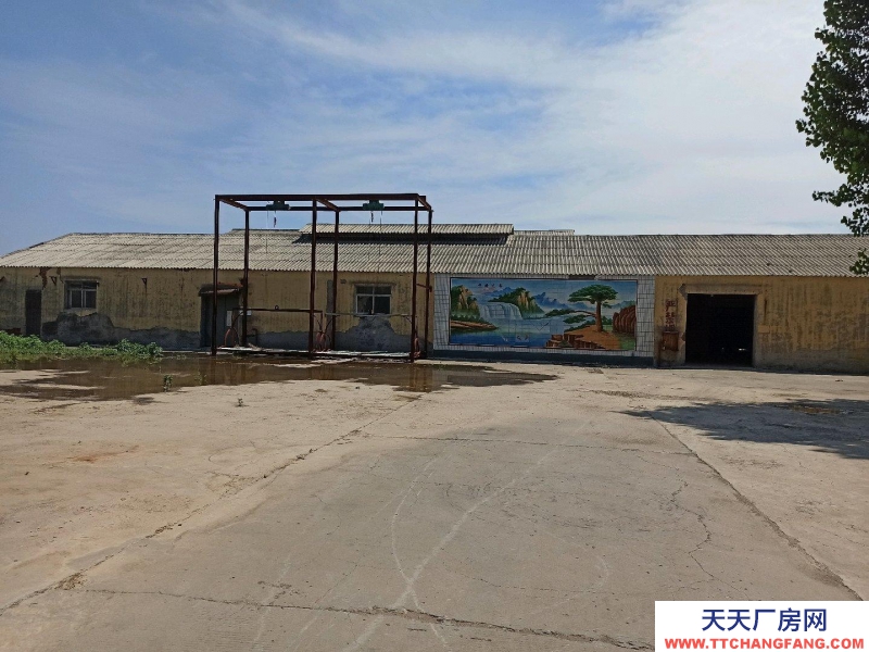 石家莊 晉州  此廠房做車間但是需要收拾。