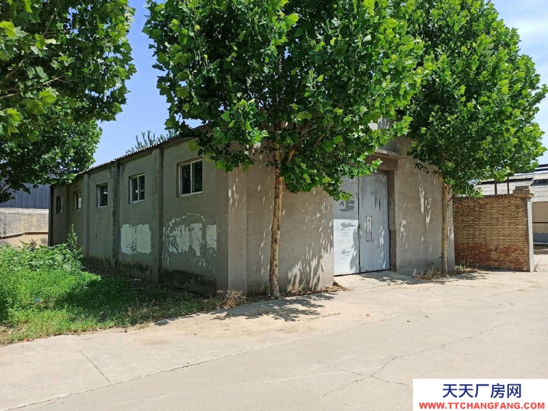 石家莊 晉州  此廠房做車間但是需要收拾。