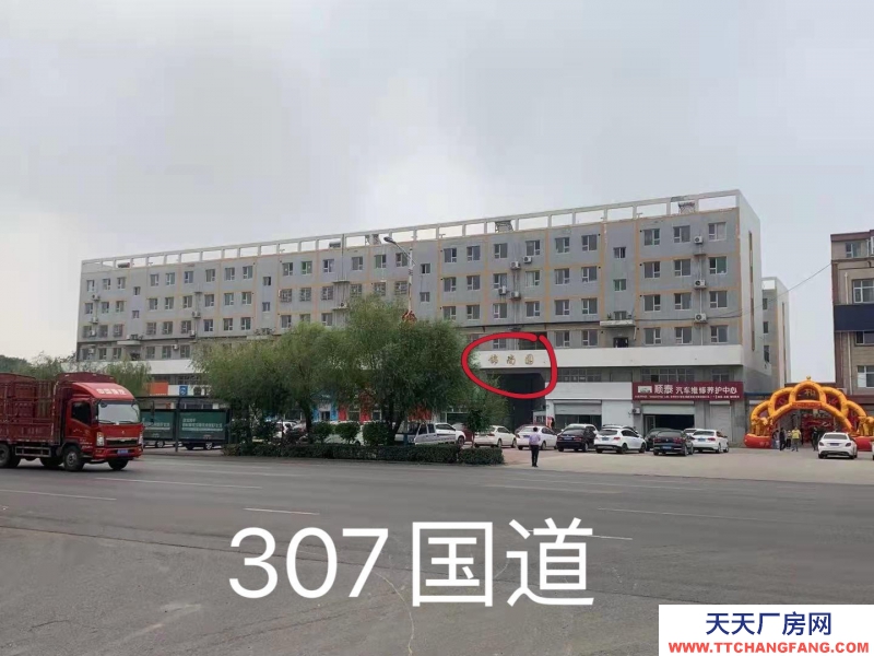 石家莊 晉州 廠房 地庫 車間 倉儲