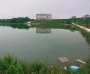 (出租) 宜昌夷陵鴉鵲嶺小鴉路邊地塊出租 廠房 倉庫 農家樂 垂釣