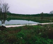 (出租) 宜昌夷陵鴉鵲嶺小鴉路邊地塊出租 廠房 倉庫 農家樂 垂釣