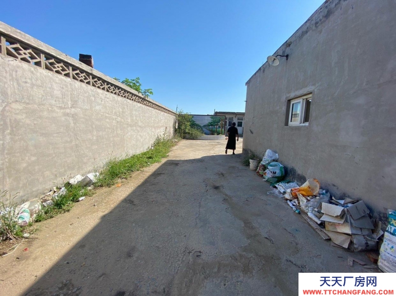 石家莊 新樂  廠房租賃，可接三箱電