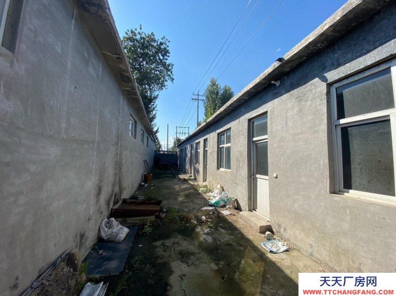 石家莊 新樂  廠房租賃，可接三箱電