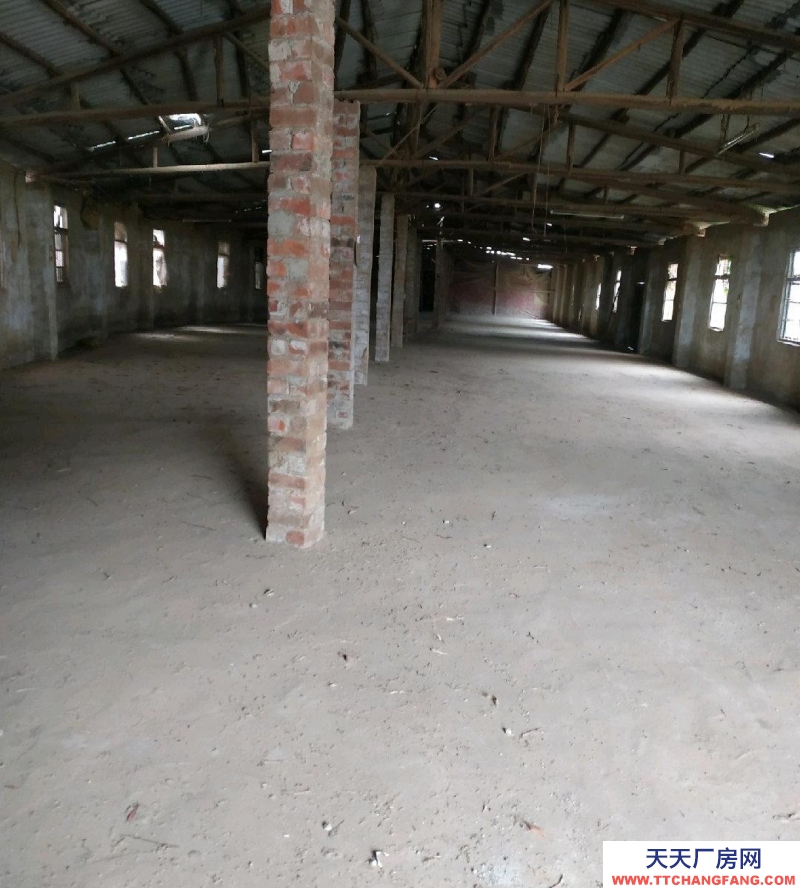 南寧市西鄉塘區(出租) 水電齊全三相電，可通大車（9.6米）交通便利