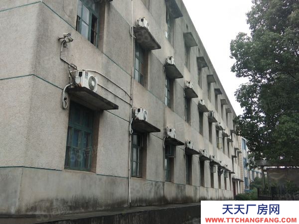 長沙市望城區 大面積廠房整體出租 適合辦學校