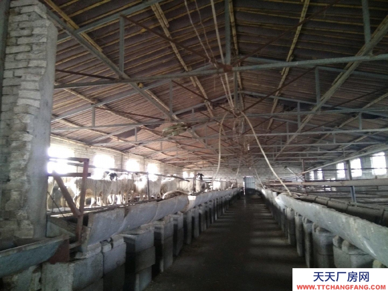 青島平度李園 樂義基地 養(yǎng)殖場 出售