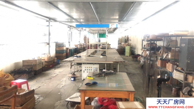 南寧市西鄉塘區(出租) 科園西九路12號、四樓頂樓工業廠房