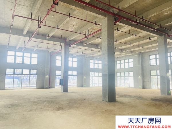 長(zhǎng)沙市望城區(qū) 小面積 廠房 智能智造 電子信息產(chǎn)業(yè)園