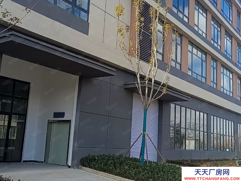 青島平度賣廠房，現房大產權！低首付！可環評！