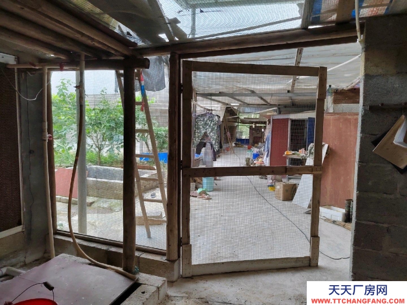 南寧市西鄉塘(出租) 2000平豬場，可放養肉豬1300頭