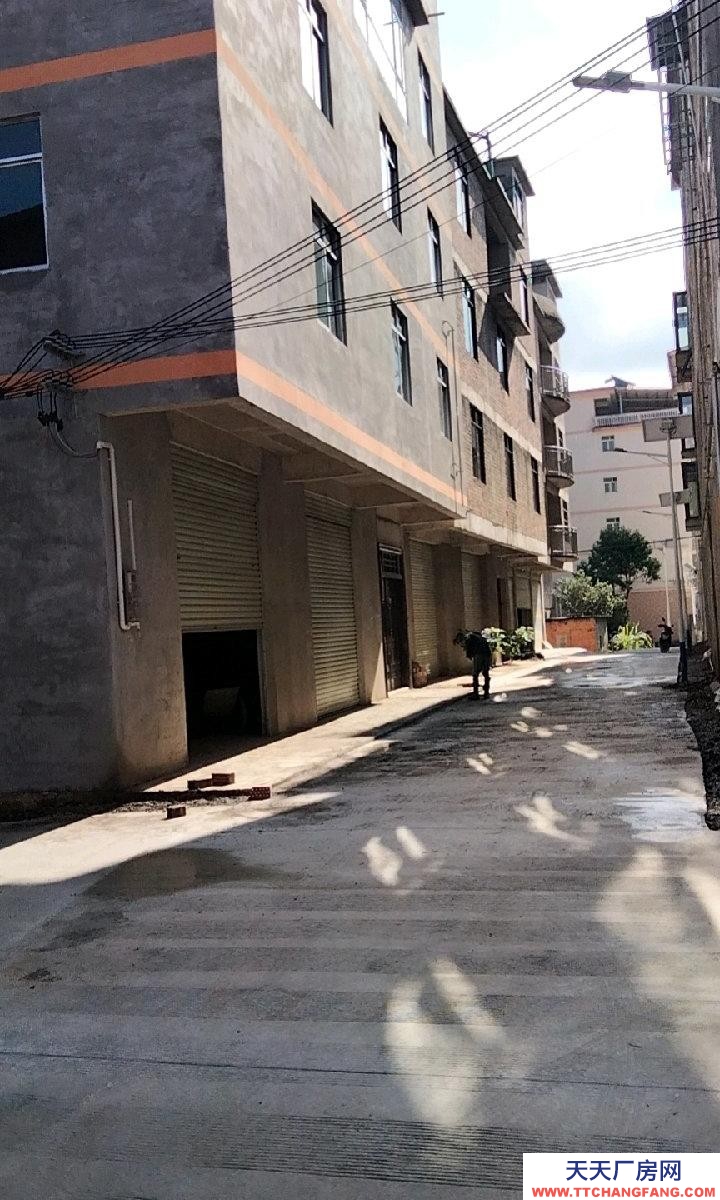 南寧市西鄉塘區(出租) 新房，可做倉庫，可做廠房