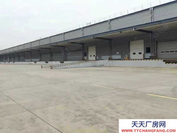 長沙市望城區 物流園3000平 5000平 8000平出租
