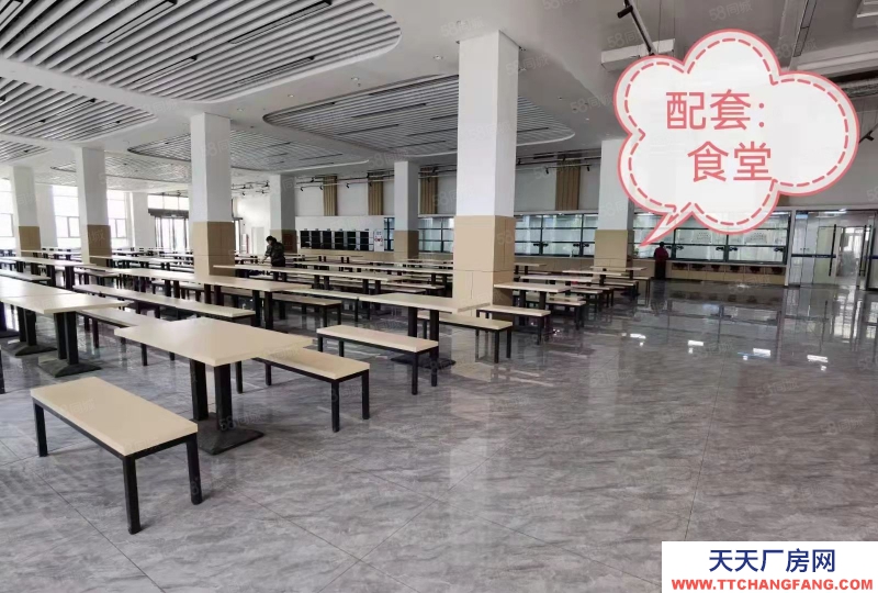 石家莊 鹿泉 獨棟廠房，承載企業總部，高鐵，高速，南三環，主干道沿線