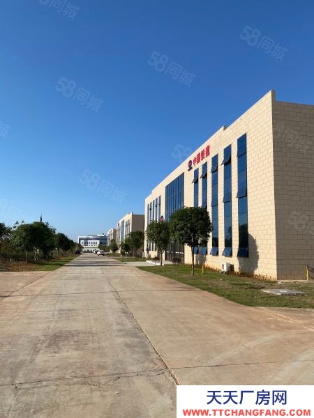 長(zhǎng)沙市寧鄉(xiāng)區(qū) 整租分租單層11米5000平獨(dú)棟廠房