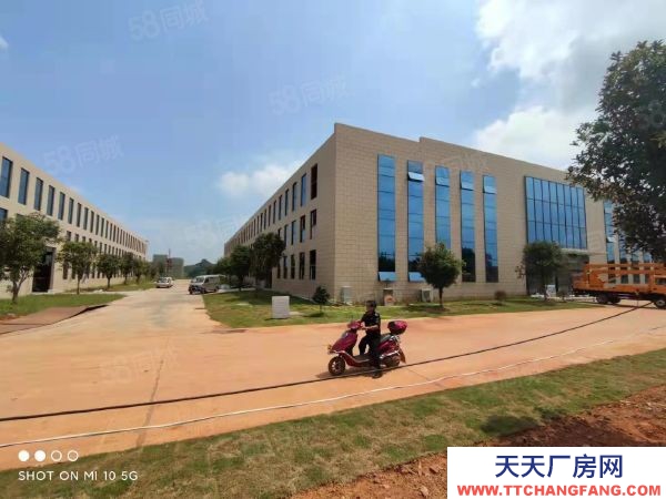長沙市寧鄉區 整租分租單層11米5000平獨棟廠房