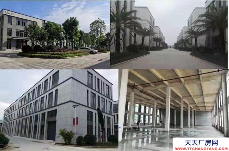 南寧市西鄉塘區(出租) 廠房位于那安快速環道出入口