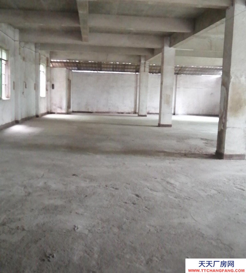 南寧市西鄉塘區(出租) 個人房源，直接出租，直接房東