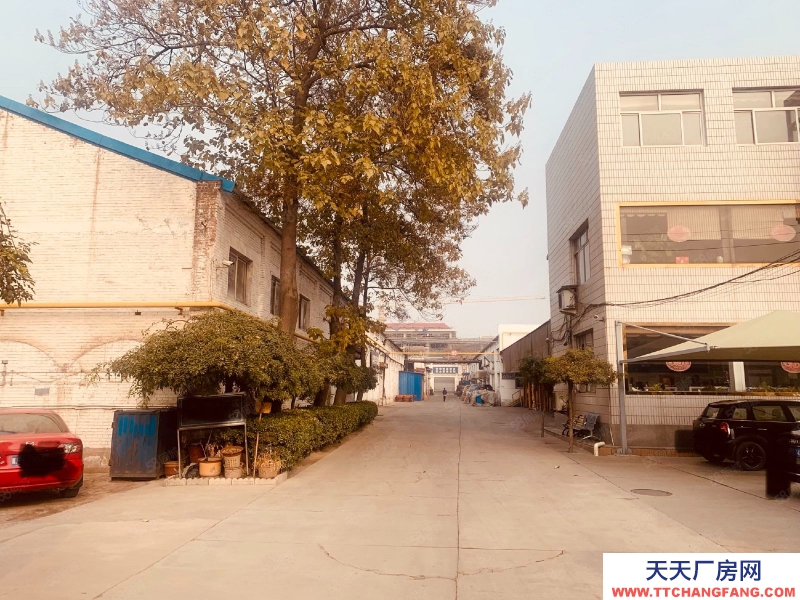 保定 出租或出售市一中附近廠房土地!
