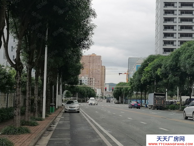 南寧市西鄉(xiāng)塘區(qū)(出租) 全新標準廠房倉庫,500平起,可租可售,有一樓!有補貼