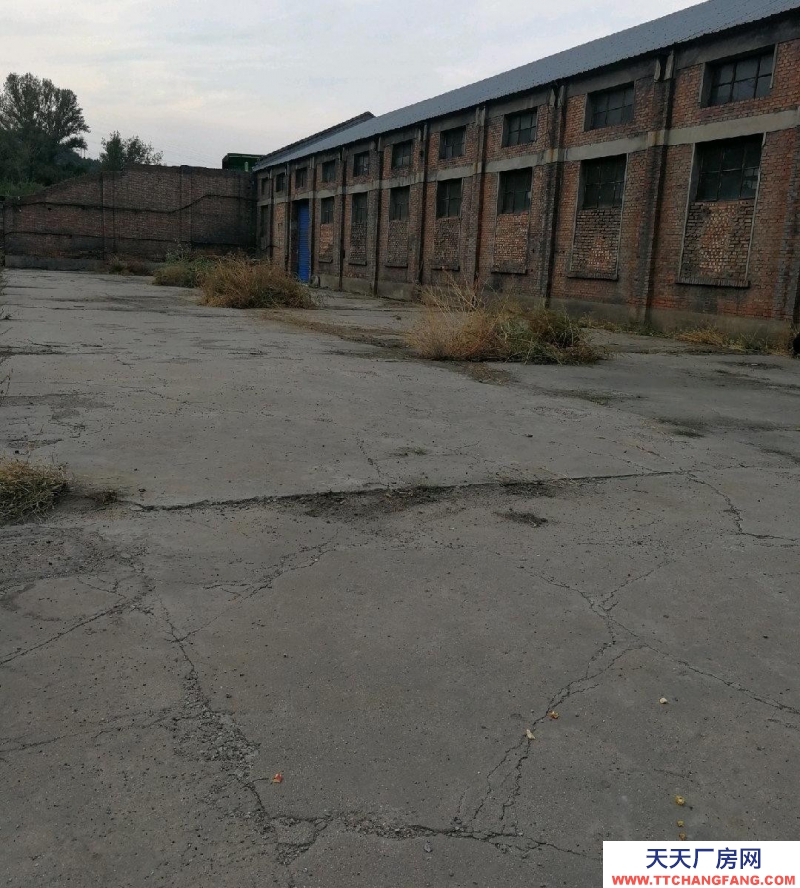 (出租) 大型倉庫,廠房,空院,辦公整場出租