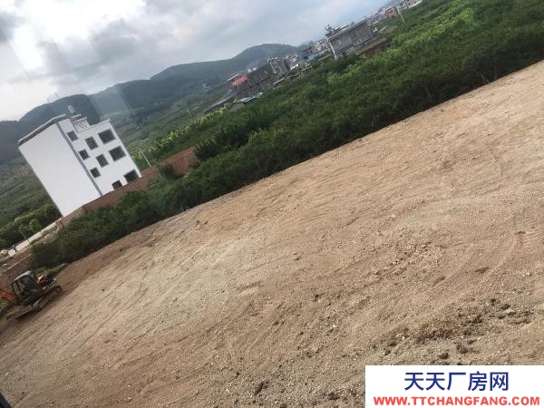 (出租) 面積大 整齊 交通便利