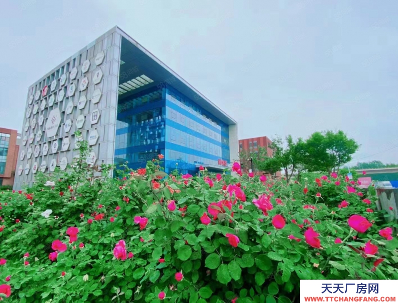 保定 涿州航站樓周邊現(xiàn)房 業(yè)態(tài)寬松 可環(huán)評 可租可買 有房本