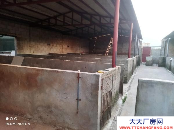 (出租) 路通，水通，三相電通，自家房有產權！