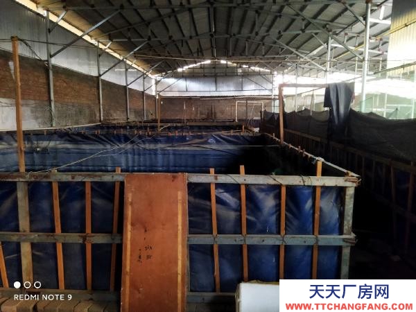 (出租) 路通，水通，三相電通，自家房有產權！