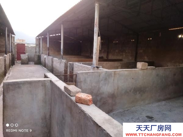 (出租) 路通，水通，三相電通，自家房有產權！