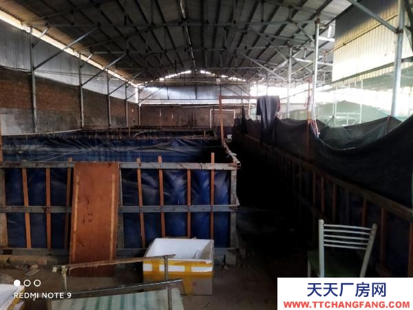 (出租) 路通，水通，三相電通，自家房有產權！