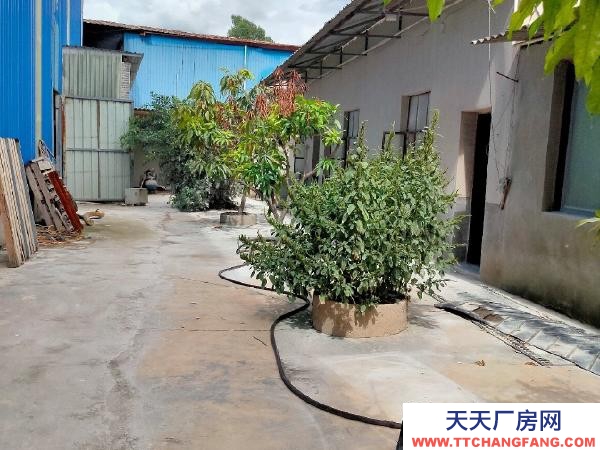 (出租) 此場(chǎng)地出租:地址位于個(gè)舊市、雞街鎮(zhèn)老昆河公路邊小芭蕉路段。