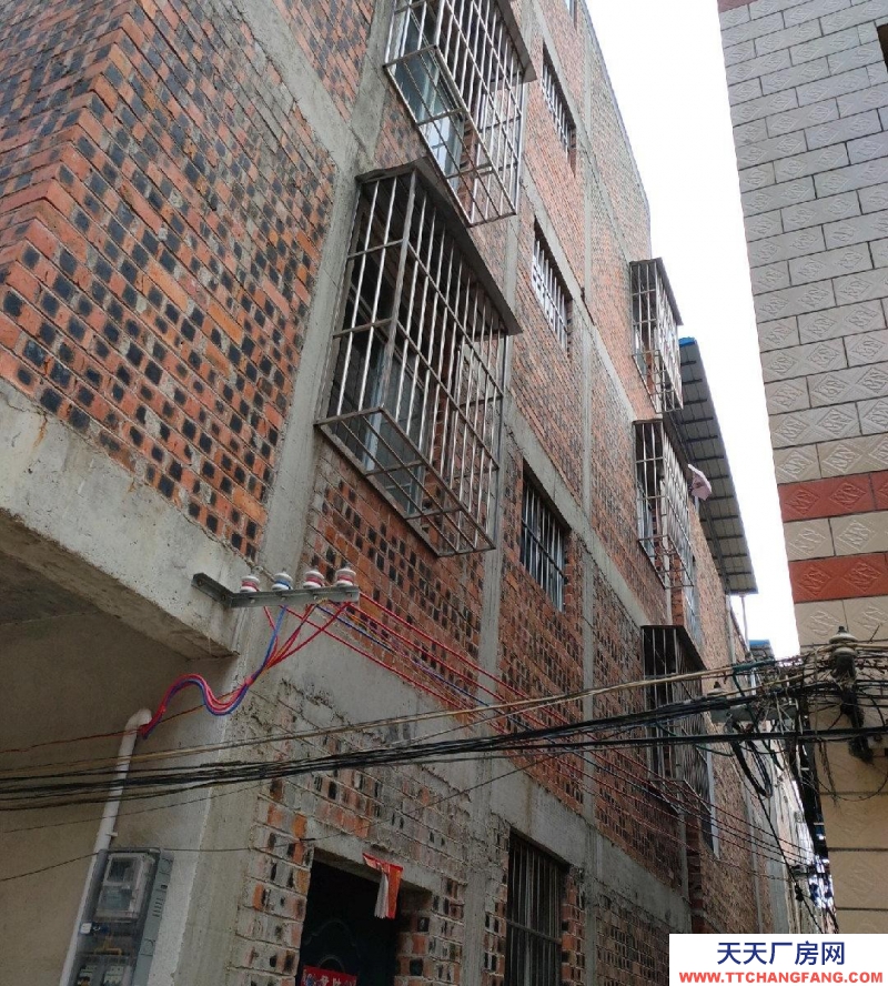 南寧市西鄉塘區(出租) 心圩整棟出租（近小學）