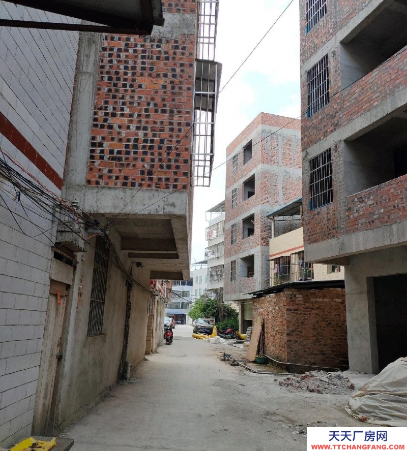 南寧市西鄉塘區(出租) 心圩整棟出租（近小學）